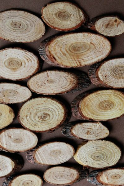 How to dry wood slices